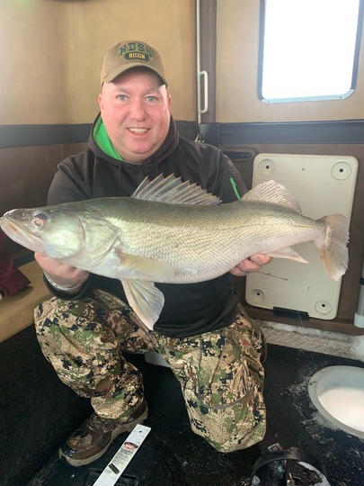 Walleye