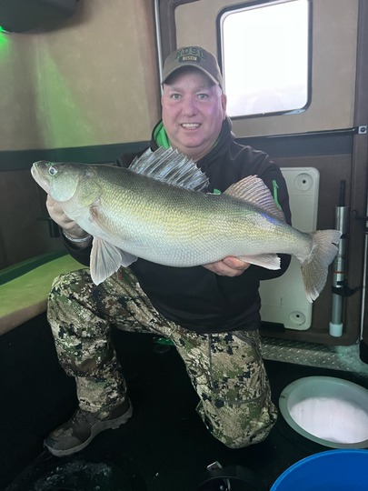 Walleye