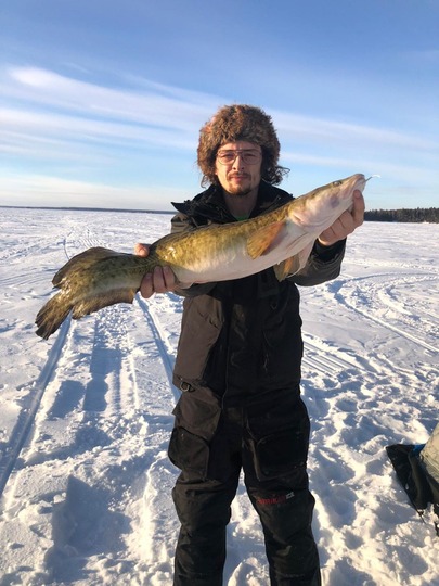 Burbot