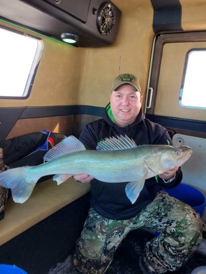Walleye