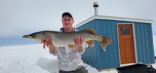 Northern Pike
