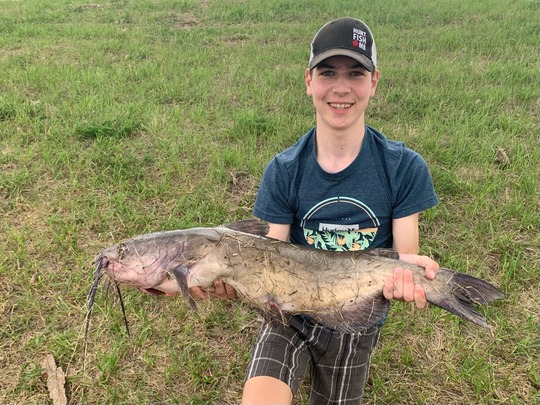 Channel Catfish