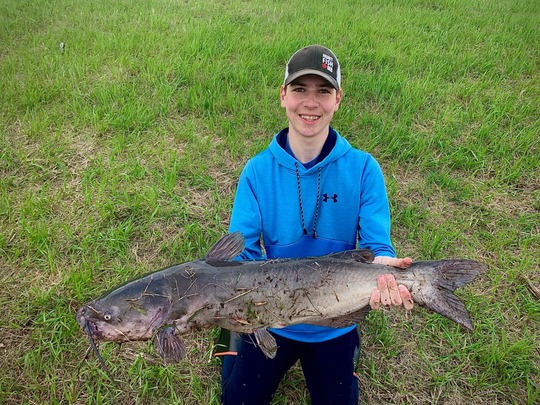 Channel Catfish