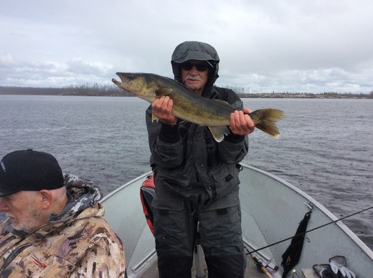 Walleye