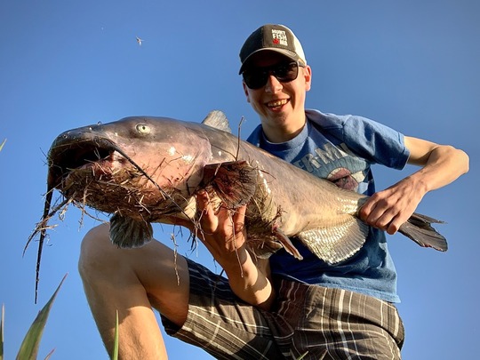Channel Catfish
