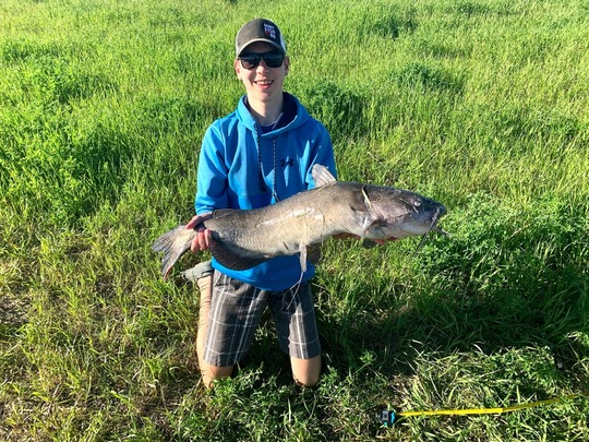 Channel Catfish