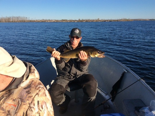Walleye
