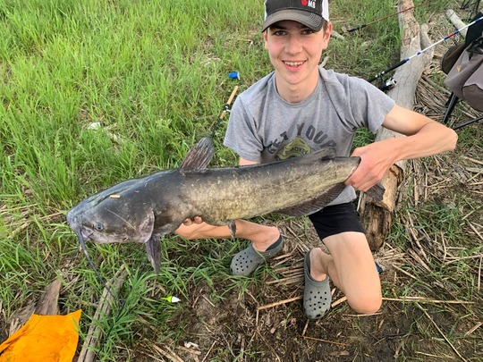 Channel Catfish