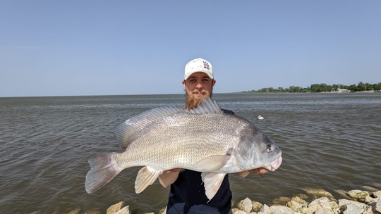 Freshwater Drum