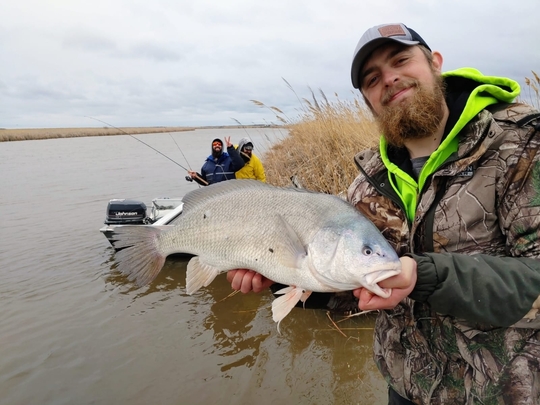 Freshwater Drum
