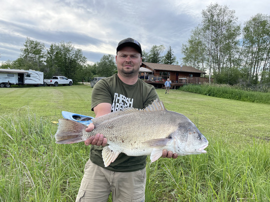 Freshwater Drum