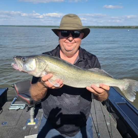 Walleye