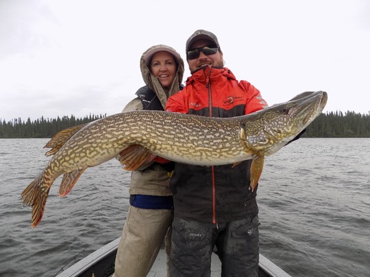 Northern Pike