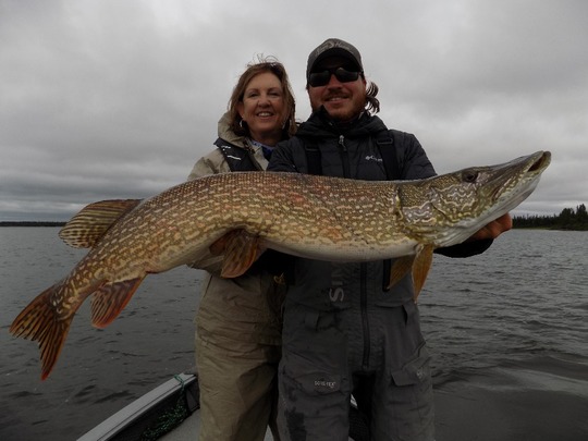Northern Pike