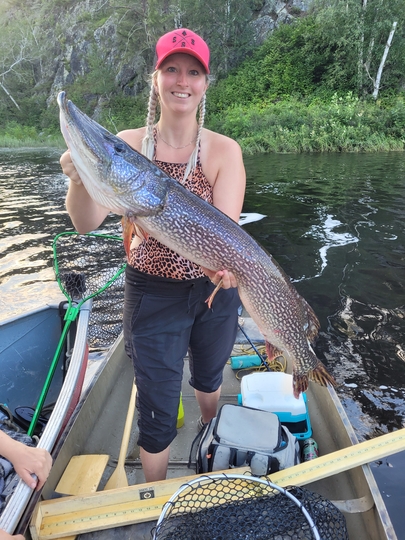 Northern Pike