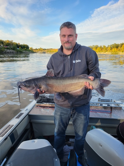 Channel Catfish