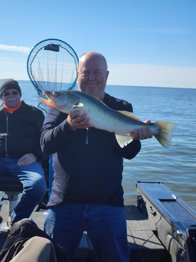 Walleye