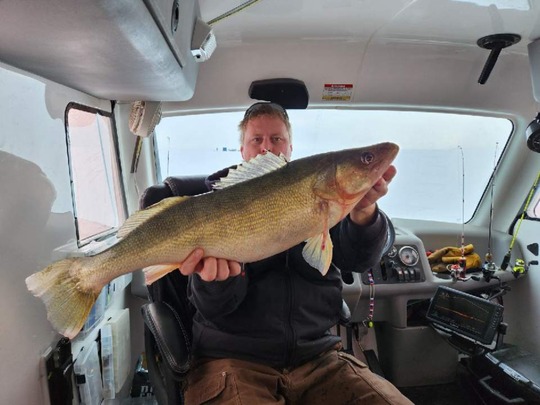 Walleye