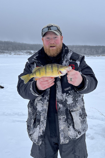 Yellow Perch