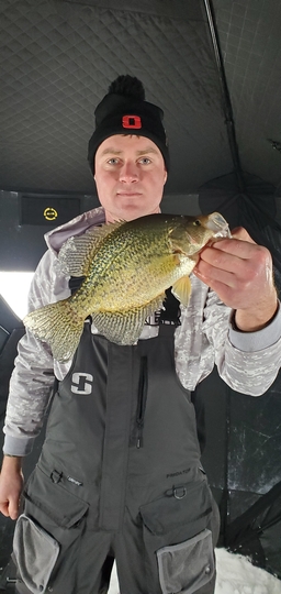 Black Crappie