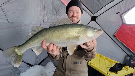 Walleye