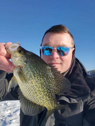Black Crappie
