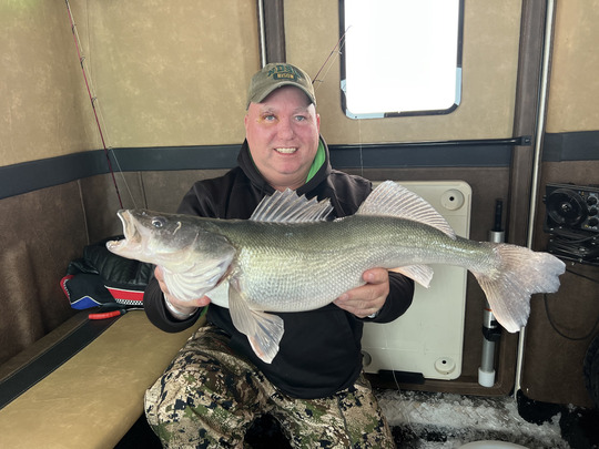 Walleye