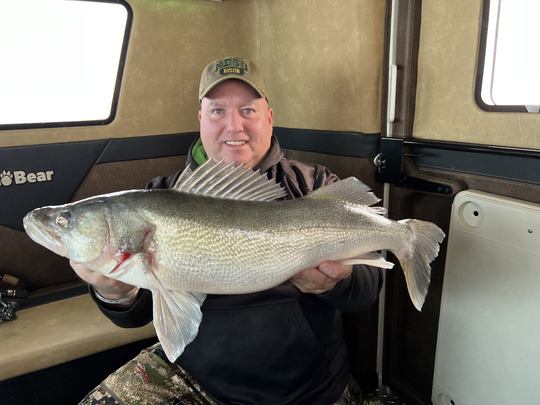 Walleye