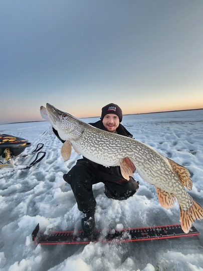 Northern Pike
