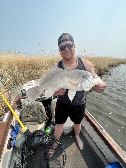 Freshwater Drum