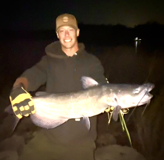 Channel Catfish
