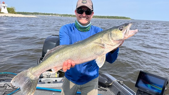 Walleye