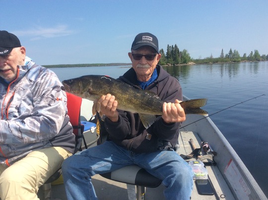 Walleye