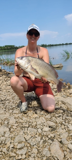 Freshwater Drum