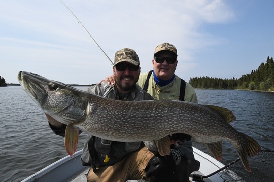 Northern Pike