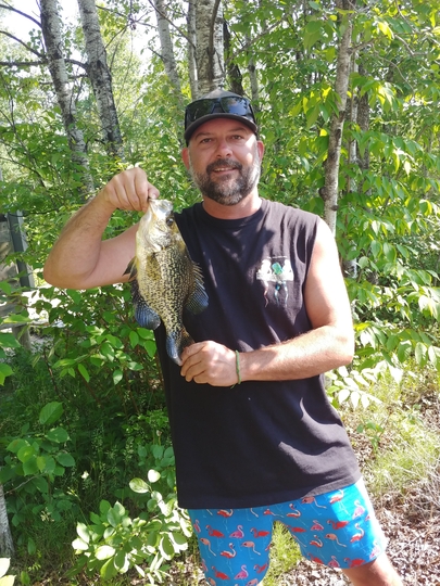 Black Crappie
