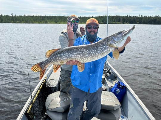 Northern Pike