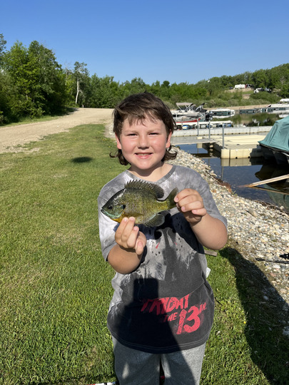 Sunfish