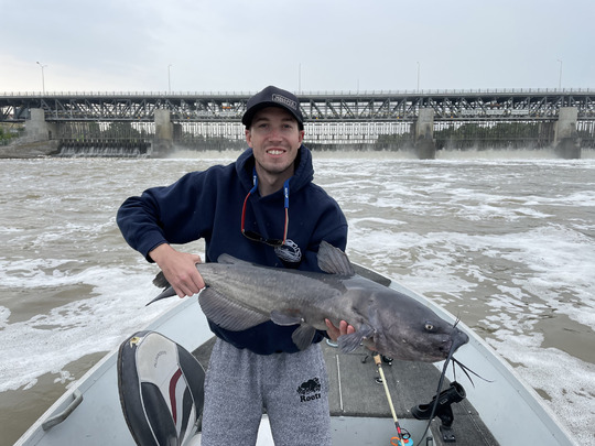 Channel Catfish