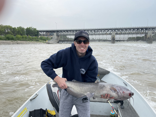 Channel Catfish