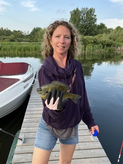 Sunfish
