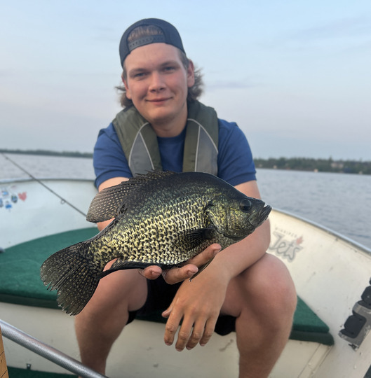 Black Crappie