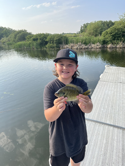 Sunfish