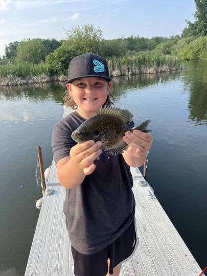 Sunfish