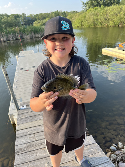 Sunfish