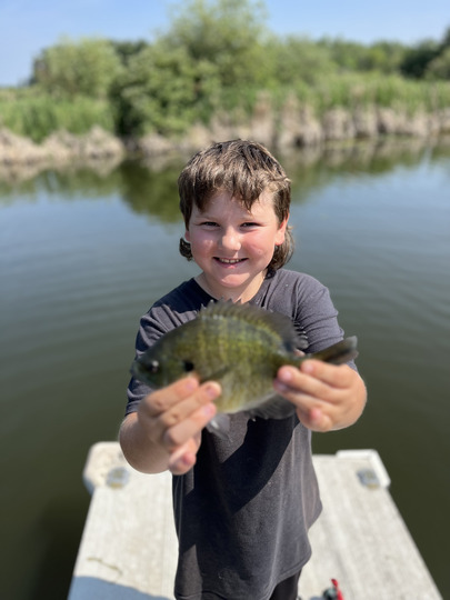 Sunfish