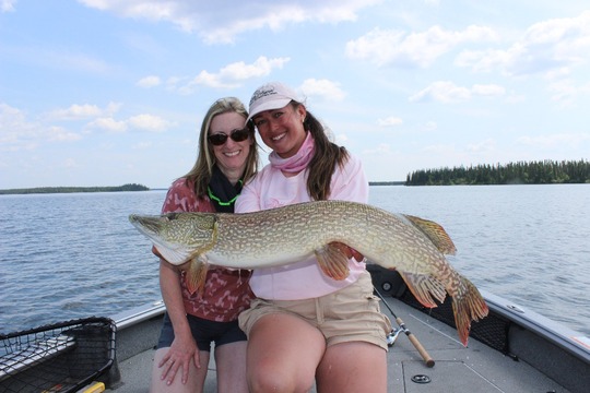 Northern Pike