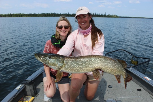Northern Pike