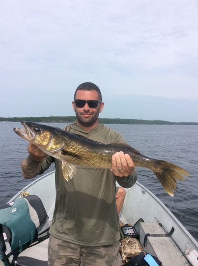 Walleye