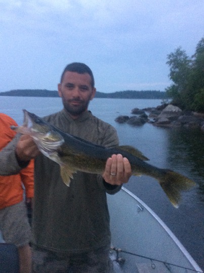 Walleye